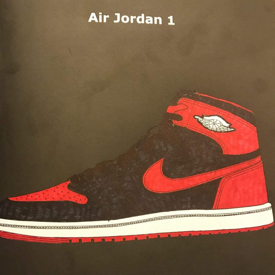 [Air Jordan coloring book] and [ Sneaker Head Coloring Book] - ColoringBookLife